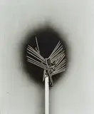 Emilio Scanavino, Impaled