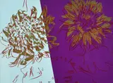 Andy Warhol, Kiku, 1984, On the reverse: Andy Wharol Art Authentication Board