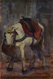 Luigi Michelacci, Horse