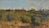 Eugenio Cecconi, Landscape