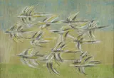 Mino Rosso, Birds in flight, Signature lower right.