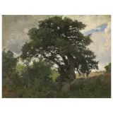 Pietro Senno, Trees