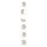 Rebecca Agnes, Untitled, Fasi lunari