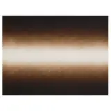 Anish Kapoor, Shadow III, No. 08 2009, etching on Somerset paper