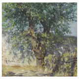 Raffaello Sorbi, Study Of A Tree, oil on panel