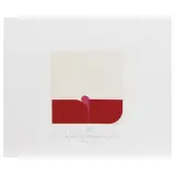 Shū Takahashi, Untitled 2014, etching and aquatint cm