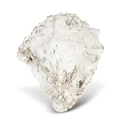 Paolo Icaro, Untitled, Nido