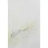Pier Paolo Calzolari, Untitled 2002