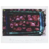 Untitled by Maurizio Galimberti, StudioFlowers polaroid, offered Nov 2022