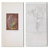 Eugenio Pardini, Untitled, Greetings cards