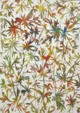 Roberto Miniati, Under the white 2012