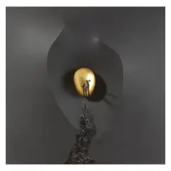 Life and death 2003 by Dino Castelvecchi, offered Oct 2022