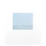 Piero Guccione, (4)