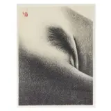 Omar Galliani, La figlia era nuda 2005