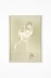 Carsten Höller, Untitled