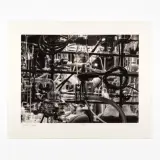 Carsten Höller, Untitled