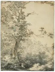 Adam Pynacker, Landschaft mit Baum, Um 1660, Tuschfeder in Schwarz und Braun über Bleistift, grau laviert, auf Bütten (Wasserzeichen: gekröntes TIHS (ligiert))