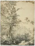 Adam Pynacker, Landschaft mit Baum, Um 1660, Vorzeichnung in Graphit; Feder, braune Tinte, Pinsel in Grau, grau laviert auf Bütten (doubliert)