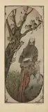 Adolf Born, Cat Lover, 1990s, lithography, paper