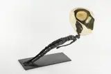 Petr Holeček, Dreaming, 2021, bronze