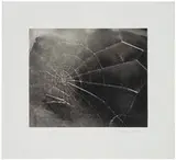 Vija Celmins, Spider Web, 2009, Silkscreen on paper