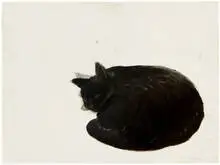Peter Alexander, Romance VIII (Sleeping Cat), 1987, Charcoal on paper