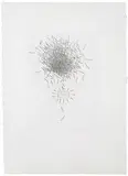 David Hockney, Gold (from Illustrations for Six Fairy Tales from the Brothers Grimm), 1969-1970, Etching on paper