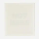 Rémy Zaugg, NOT HERE, 1994-95, screenprint in colors on Museum Board