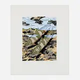 Neil Welliver, Two Trout, 1981, woodcut in colors