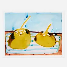 Katherine Bernhardt, Piñones, 2021, archival pigment print in colors