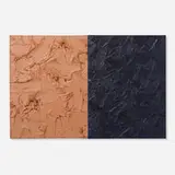 James Hayward, Athenian Flesh/Dark Blue (diptych)