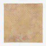 Eugenia Sumiye Okoshi, Plenum #5