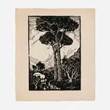 Margaret Jordan Patterson, Stone Pines, 1928, woodcut