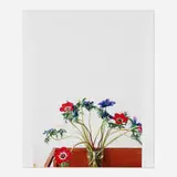 Anenome by Wolfgang Tillmans, 2003, c-print, sold Jan 2017