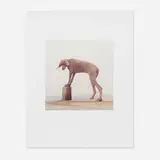 William Wegman, Foot Stool