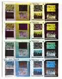 Dieter Roth, Untitled, 1930, 1930-1998) Dieter Roth Gesammelte Werke 39 offset lithograph printed in colours