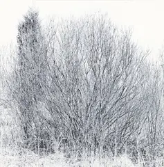 Ray Metzker, Frederick County, Maryland (from the Earthly Delights series), 1987, gelatin silver print