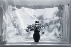 Lilo Raymond, Flowers and Curtain, 1998, black and white, photograph