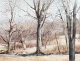 Charles Pitcher, (American/Western PA, 1927-2009), Laurel Oaks