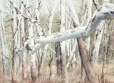 Charles Pitcher, (American/Western PA, 1927-2009), Another Look, 1986, (P-653), watercolor