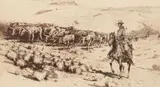 Edward Borein, Trail Herd No. 2 (Galvin 101), etching