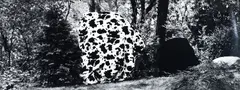House Series, 1993- by Martin Prekop, 2007, gelatin silver print, offered Nov 2025