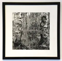 Landscape with Tape Measure by Martin Prekop, 1970, gelatin silver print, offered Nov 2025