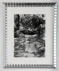 Olive Tree and Rocks, Italy by Martin Prekop, 2000, gelatin silver print, offered Nov 2025