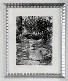 Martin Prekop, Olive Tree and Rocks, Italy