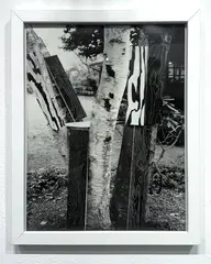 Tree Construction, from Mirrored House by Martin Prekop, gelatin silver print, offered Nov 2025