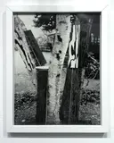 Martin Prekop, Tree Construction, from Mirrored House