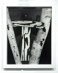 Tree Construction, from Mirrored House by Martin Prekop, gelatin silver print, offered Nov 2025