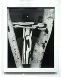 Martin Prekop, Tree Construction, from Mirrored House