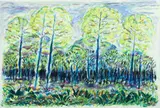 Joseph R. Shepler, (American, Western PA, 1937-2018), Spring Forrest, circa 1980, watercolor